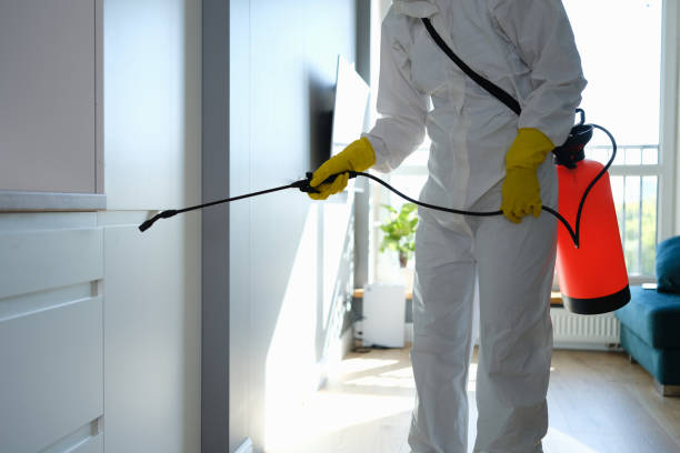 Best Professional Mold Removal  in Foley, AL