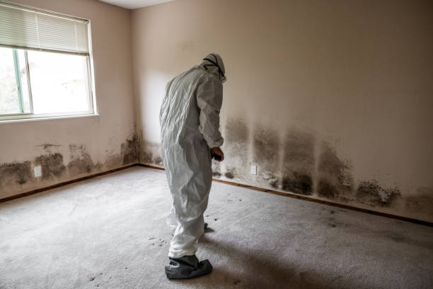Best Mold Cleaning Services  in Foley, AL